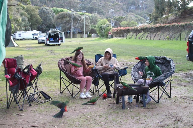 How a little camp chair care saved our caravan interior